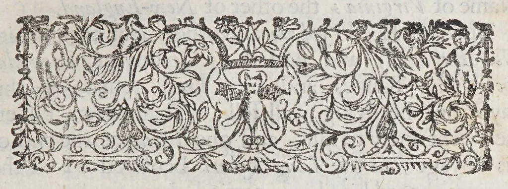 An illustration from New-Englands vindidation [sic]. : Shewing the mis-understanding of the apprehension to take all that vast countrey under the notion of a particular place of one pattent of Boston, the metropolitan of the Machechusets there, who in these late times have acted as a free state and illegal proceeding, as by the many books and complaints by petition have caused an odium on the countrey in general, in vindication to manifest the worth of the countrey in general, it is as hopeful to enlarge His Majesties dominions, as if all the Baltick seas were annexed to his empire., 1660, leaf 9
