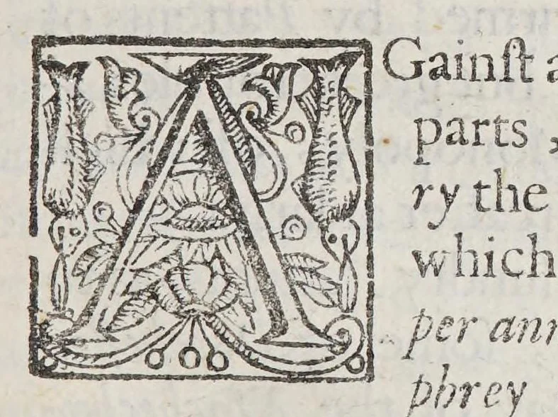 An illustration from New-Englands vindidation [sic]. : Shewing the mis-understanding of the apprehension to take all that vast countrey under the notion of a particular place of one pattent of Boston, the metropolitan of the Machechusets there, who in these late times have acted as a free state and illegal proceeding, as by the many books and complaints by petition have caused an odium on the countrey in general, in vindication to manifest the worth of the countrey in general, it is as hopeful to enlarge His Majesties dominions, as if all the Baltick seas were annexed to his empire., 1660, leaf 9