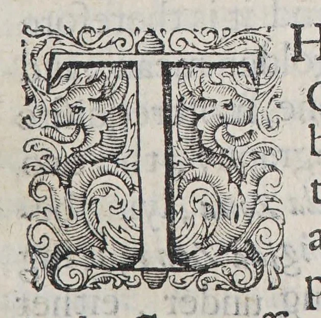 An illustration from New English Canaan or New Canaan. : Containing an abstract of New England, composed in three bookes. The first booke setting forth the originall of the natives, their manners and customes,together with their tractable nature and love towards the English.The second booke setting forth the naturall indowments of thecountry, and what staple commodities it yealdeth. The third booke setting forth, what people are planted there, their prosperity, what remarkable accidents have happened since the first plantingof it, together with their tenents and practise of their church., 1637, leaf 17
