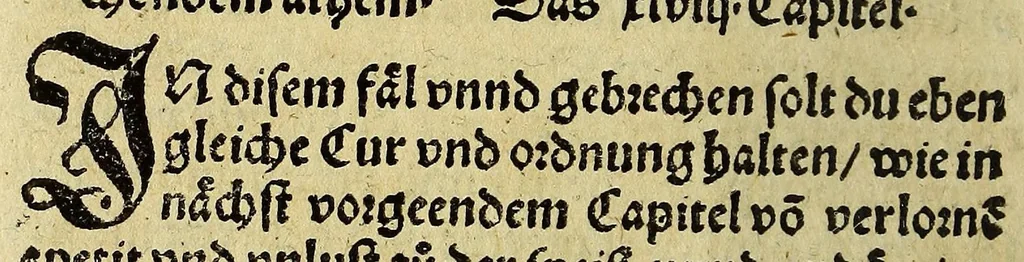 An illustration from New erfundne heylsame, vnd bewärte Artzney, gewisse Hilff vnnd [sic] Radt, : nit allein die frantzosen oder bösen Blatern, sunder auch andere sorgliche schwere Kra[n]ckheyt Mangel vnd Gebreche[n], menschlichs Leibs, so sich eüsserlichen oder innerlichen erheben, aber bissher für vnheylbar geacht worden, gründtlichen vnd gentzlichen zü vertreiben, heylen vnd curieren, mit vormals vnbekanter, und biss auff dise Zeit vnbewisster Bereytung, Gebrauch vnd Würckung des indianischen Holtz Guaiacum oder frantzosen Holtz genennet, yetzund newlich erfunde[n], vnd an Tag geben., 1541, leaf 124
