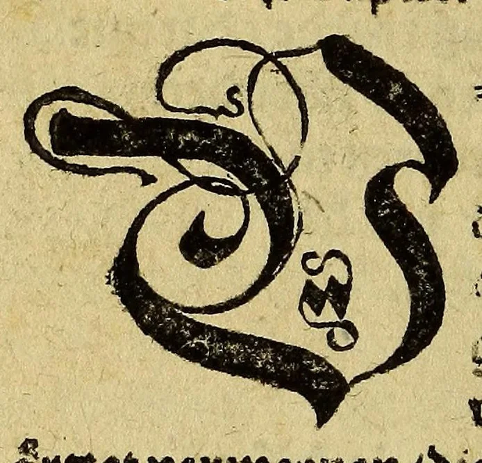 An illustration from New erfundne heylsame, vnd bewärte Artzney, gewisse Hilff vnnd [sic] Radt, : nit allein die frantzosen oder bösen Blatern, sunder auch andere sorgliche schwere Kra[n]ckheyt Mangel vnd Gebreche[n], menschlichs Leibs, so sich eüsserlichen oder innerlichen erheben, aber bissher für vnheylbar geacht worden, gründtlichen vnd gentzlichen zü vertreiben, heylen vnd curieren, mit vormals vnbekanter, und biss auff dise Zeit vnbewisster Bereytung, Gebrauch vnd Würckung des indianischen Holtz Guaiacum oder frantzosen Holtz genennet, yetzund newlich erfunde[n], vnd an Tag geben., 1541, leaf 148