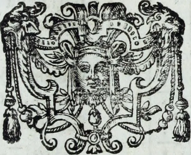 An illustration from Newes itinerarium Italiae : in welchem der Reisende nicht allein gründtlichen Bericht, durch die herzlichste namhaffteste Örter Italiae sein Reiss wol zubestellen, sonder es wirdt jhme auch gantz eygentlich beschriben, was allda als in einem Lustgarten di Europe ... an Sitten vnd Gewonheiten, im Geistlichen vnd Politischen, an mechanischen Wercken zu Land vnd zu Wasser, vnd also an Gebäwen ... denckwürdig zu sehen : alles ... an Tag gegeben ..., 1627, leaf 29