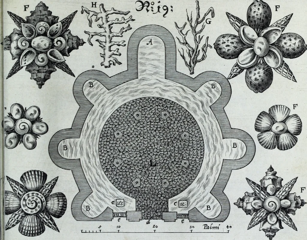 An illustration from Newes itinerarium Italiae : in welchem der Reisende nicht allein gründtlichen Bericht, durch die herzlichste namhaffteste Örter Italiae sein Reiss wol zubestellen, sonder es wirdt jhme auch gantz eygentlich beschriben, was allda als in einem Lustgarten di Europe ... an Sitten vnd Gewonheiten, im Geistlichen vnd Politischen, an mechanischen Wercken zu Land vnd zu Wasser, vnd also an Gebäwen ... denckwürdig zu sehen : alles ... an Tag gegeben ..., 1627, leaf 315