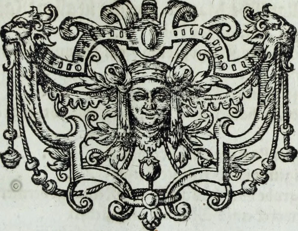 An illustration from Newes itinerarium Italiae : in welchem der Reisende nicht allein gründtlichen Bericht, durch die herzlichste namhaffteste Örter Italiae sein Reiss wol zubestellen, sonder es wirdt jhme auch gantz eygentlich beschriben, was allda als in einem Lustgarten di Europe ... an Sitten vnd Gewonheiten, im Geistlichen vnd Politischen, an mechanischen Wercken zu Land vnd zu Wasser, vnd also an Gebäwen ... denckwürdig zu sehen : alles ... an Tag gegeben ..., 1627, leaf 41