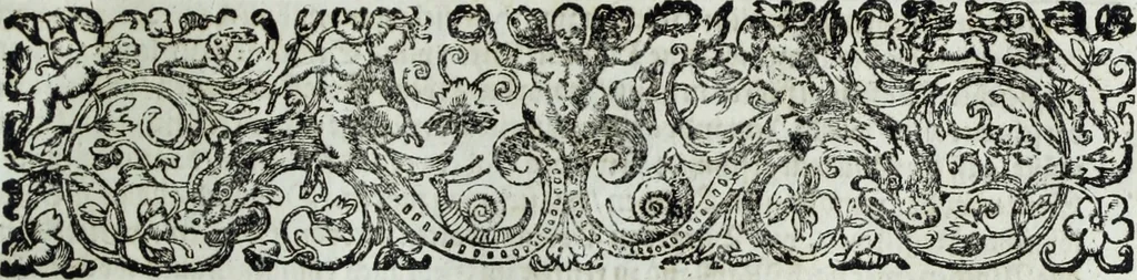 An illustration from Newes itinerarium Italiae : in welchem der Reisende nicht allein gründtlichen Bericht, durch die herzlichste namhaffteste Örter Italiae sein Reiss wol zubestellen, sonder es wirdt jhme auch gantz eygentlich beschriben, was allda als in einem Lustgarten di Europe ... an Sitten vnd Gewonheiten, im Geistlichen vnd Politischen, an mechanischen Wercken zu Land vnd zu Wasser, vnd also an Gebäwen ... denckwürdig zu sehen : alles ... an Tag gegeben ..., 1627, leaf 45
