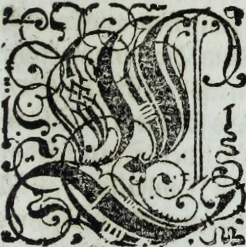An illustration from Newes itinerarium Italiae : in welchem der Reisende nicht allein gründtlichen Bericht, durch die herzlichste namhaffteste Örter Italiae sein Reiss wol zubestellen, sonder es wirdt jhme auch gantz eygentlich beschriben, was allda als in einem Lustgarten di Europe ... an Sitten vnd Gewonheiten, im Geistlichen vnd Politischen, an mechanischen Wercken zu Land vnd zu Wasser, vnd also an Gebäwen ... denckwürdig zu sehen : alles ... an Tag gegeben ..., 1627, leaf 45