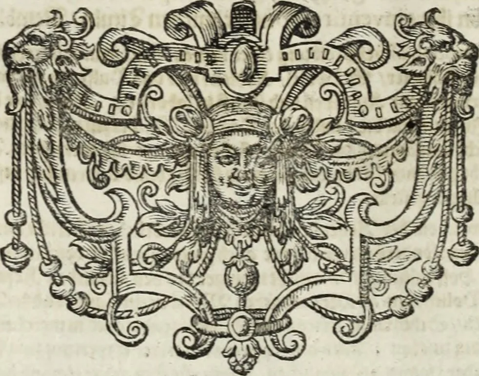 An illustration from Newes itinerarium Italiae : in welchem der Reisende nicht allein gründtlichen Bericht, durch die herzlichste namhaffteste Örter Italiae sein Reiss wol zubestellen, sonder es wirdt jhme auch gantz eygentlich beschriben, was allda als in einem Lustgarten di Europe ... an Sitten vnd Gewonheiten, im Geistlichen vnd Politischen, an mechanischen Wercken zu Land vnd zu Wasser, vnd also an Gebäwen ... denckwürdig zu sehen : alles ... an Tag gegeben ..., 1627, leaf 8