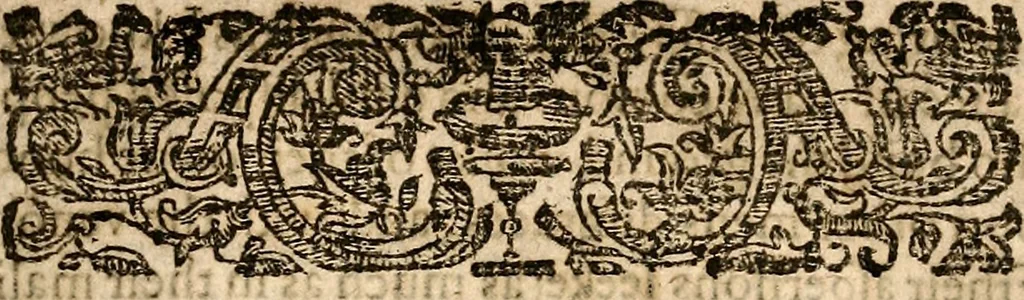 An illustration from Newes of Sr. Walter Rauleigh : with the true description of Gviana, as also a relation of the excellent gouernment, and much hope of the prosperity of the voyage, 1618, leaf 10