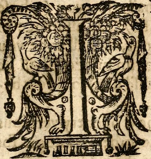 An illustration from Newes of Sr. Walter Rauleigh : with the true description of Gviana, as also a relation of the excellent gouernment, and much hope of the prosperity of the voyage, 1618, leaf 10