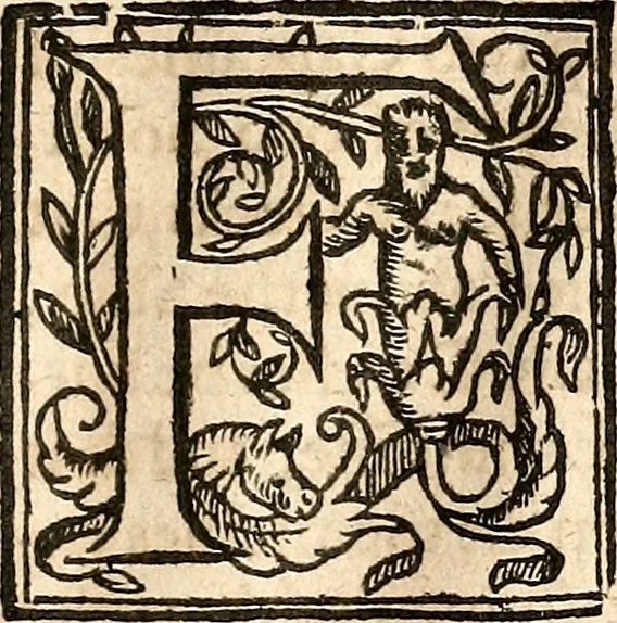 An illustration from Newes of Sr. Walter Rauleigh : with the true description of Gviana, as also a relation of the excellent gouernment, and much hope of the prosperity of the voyage, 1618, leaf 26