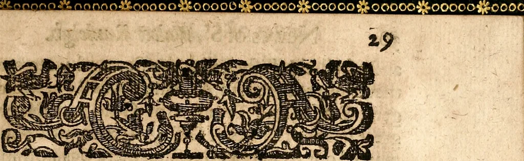 An illustration from Newes of Sr. Walter Rauleigh : with the true description of Gviana, as also a relation of the excellent gouernment, and much hope of the prosperity of the voyage, 1618, leaf 36
