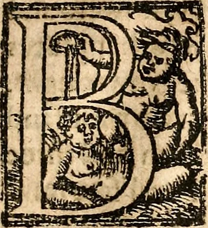 An illustration from Newes of Sr. Walter Rauleigh : with the true description of Gviana, as also a relation of the excellent gouernment, and much hope of the prosperity of the voyage, 1618, leaf 36