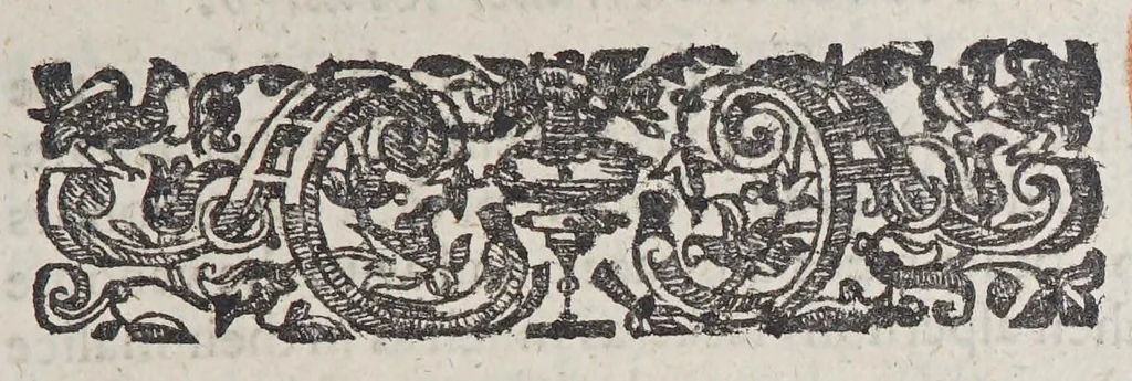 An illustration from Newes of Sr. Walter Rauleigh. With the true description of Guiana: : as also a relation of the excellent gouernment, and much hope of the prosperity of the voyage., 1618, leaf 11