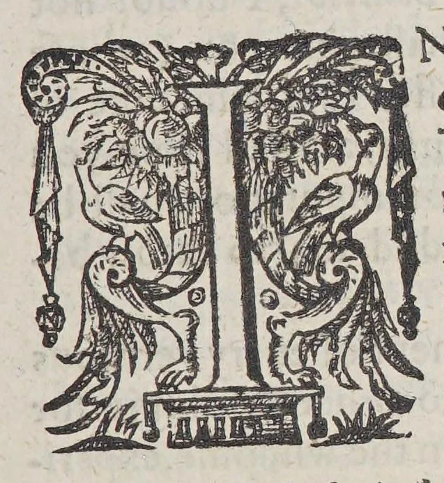 An illustration from Newes of Sr. Walter Rauleigh. With the true description of Guiana: : as also a relation of the excellent gouernment, and much hope of the prosperity of the voyage., 1618, leaf 11