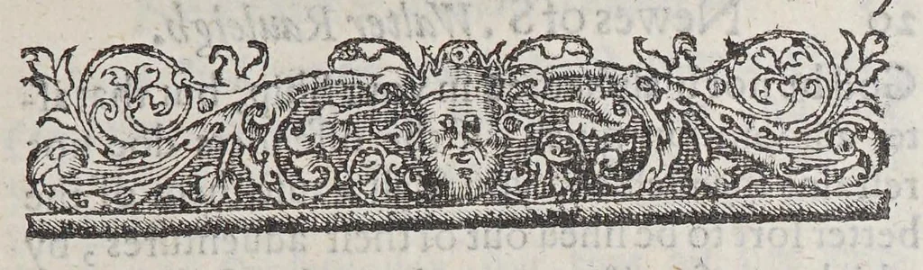 An illustration from Newes of Sr. Walter Rauleigh. With the true description of Guiana: : as also a relation of the excellent gouernment, and much hope of the prosperity of the voyage., 1618, leaf 29