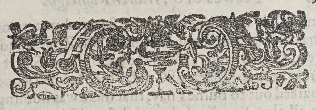 An illustration from Newes of Sr. Walter Rauleigh. With the true description of Guiana: : as also a relation of the excellent gouernment, and much hope of the prosperity of the voyage., 1618, leaf 39
