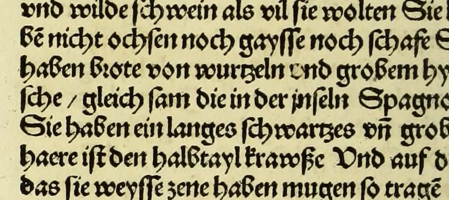 An illustration from Newe vnbekanthe Landte und ein newe Weldte in kurtz verganger Zeythe erfunden, 1508, leaf 102