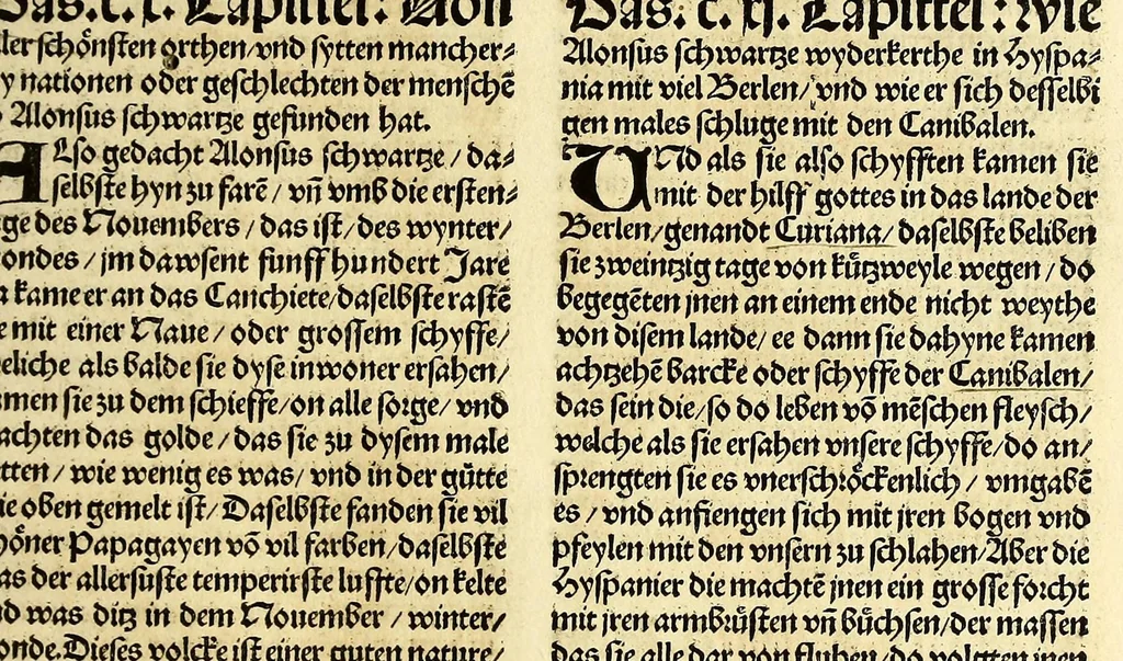 An illustration from Newe vnbekanthe Landte und ein newe Weldte in kurtz verganger Zeythe erfunden, 1508, leaf 103