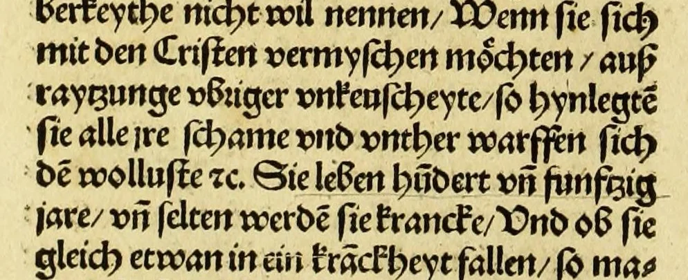 An illustration from Newe vnbekanthe Landte und ein newe Weldte in kurtz verganger Zeythe erfunden, 1508, leaf 110