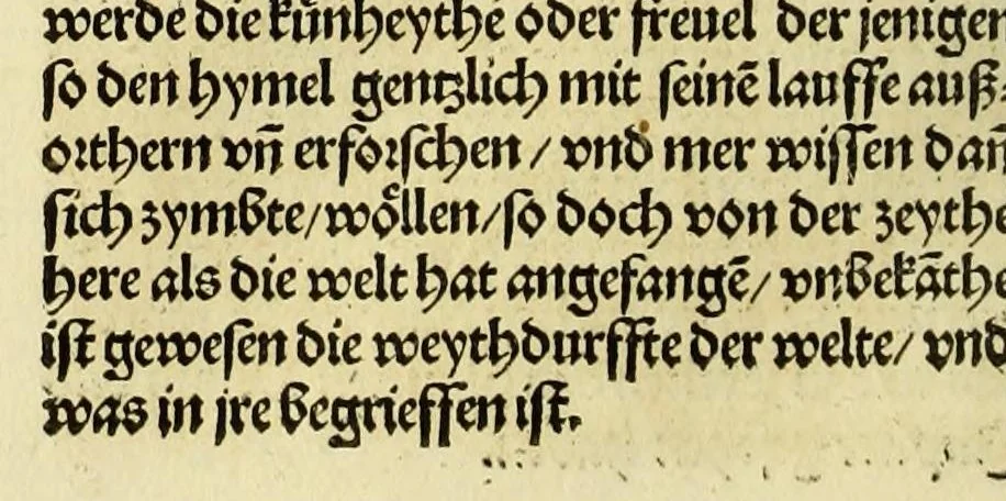 An illustration from Newe vnbekanthe Landte und ein newe Weldte in kurtz verganger Zeythe erfunden, 1508, leaf 112