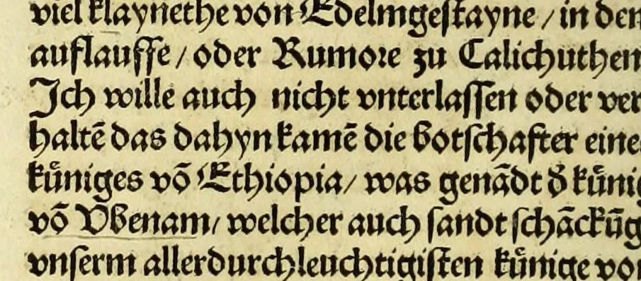 An illustration from Newe vnbekanthe Landte und ein newe Weldte in kurtz verganger Zeythe erfunden, 1508, leaf 114