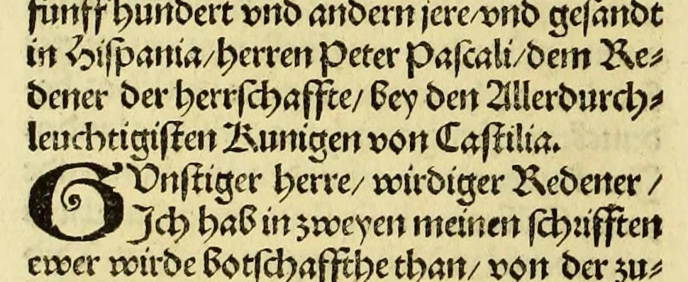 An illustration from Newe vnbekanthe Landte und ein newe Weldte in kurtz verganger Zeythe erfunden, 1508, leaf 116
