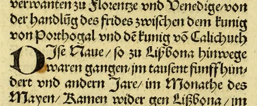 An illustration from Newe vnbekanthe Landte und ein newe Weldte in kurtz verganger Zeythe erfunden, 1508, leaf 118