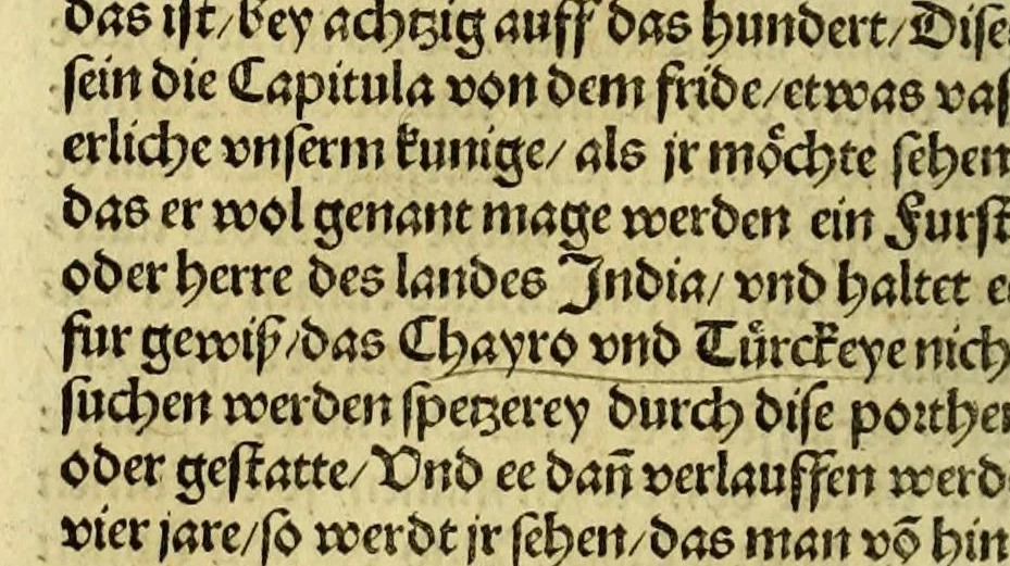 An illustration from Newe vnbekanthe Landte und ein newe Weldte in kurtz verganger Zeythe erfunden, 1508, leaf 118