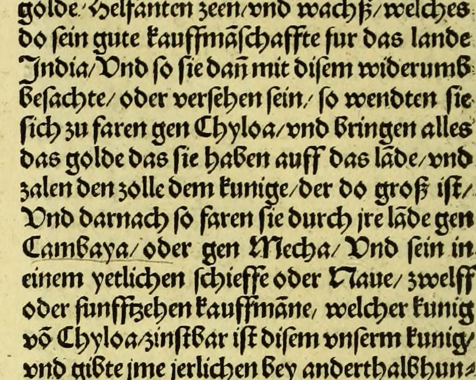 An illustration from Newe vnbekanthe Landte und ein newe Weldte in kurtz verganger Zeythe erfunden, 1508, leaf 120