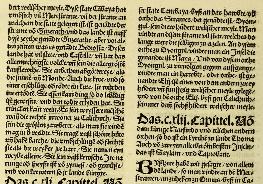 An illustration from Newe vnbekanthe Landte und ein newe Weldte in kurtz verganger Zeythe erfunden, 1508, leaf 130