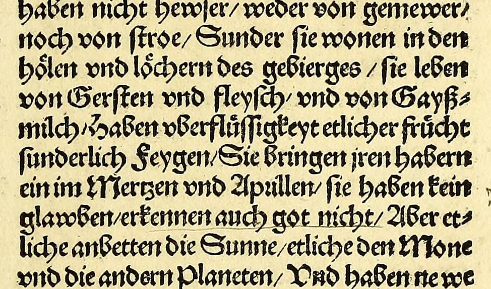An illustration from Newe vnbekanthe Landte und ein newe Weldte in kurtz verganger Zeythe erfunden, 1508, leaf 15