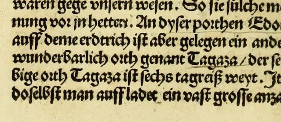 An illustration from Newe vnbekanthe Landte und ein newe Weldte in kurtz verganger Zeythe erfunden, 1508, leaf 18