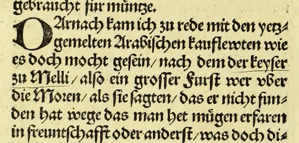 An illustration from Newe vnbekanthe Landte und ein newe Weldte in kurtz verganger Zeythe erfunden, 1508, leaf 20