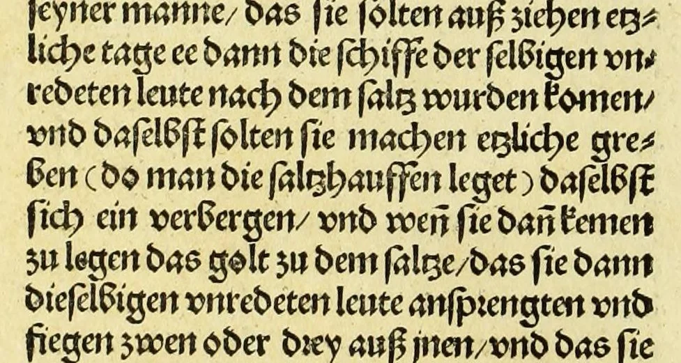 An illustration from Newe vnbekanthe Landte und ein newe Weldte in kurtz verganger Zeythe erfunden, 1508, leaf 20