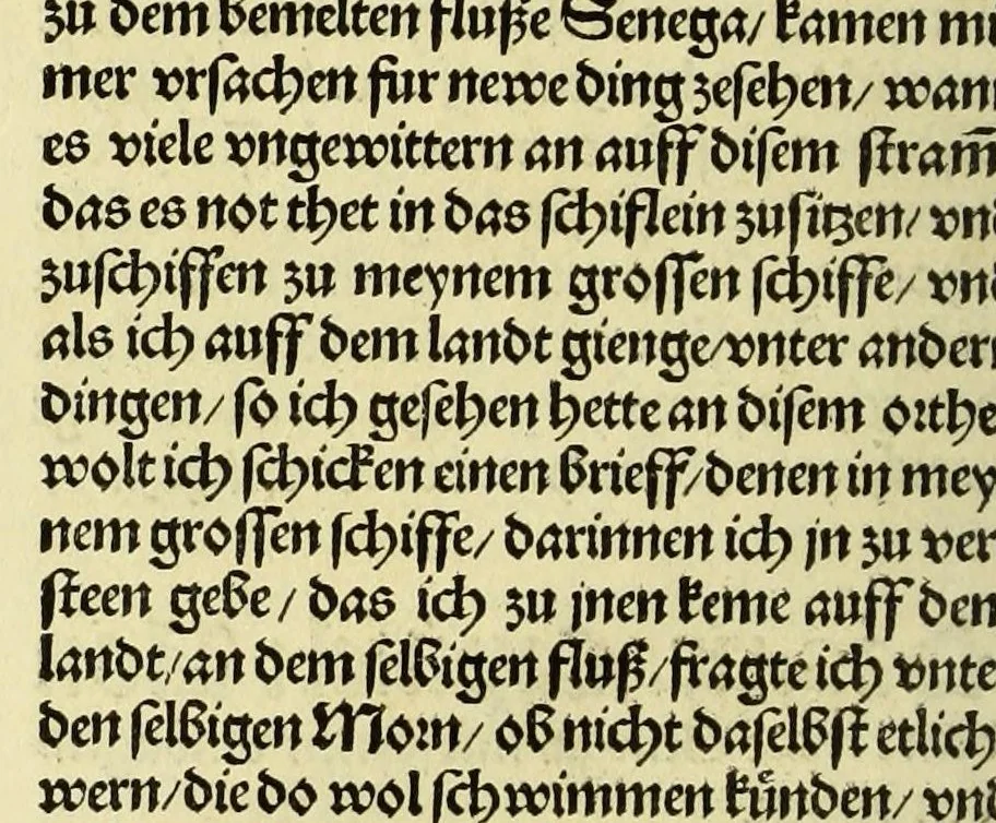 An illustration from Newe vnbekanthe Landte und ein newe Weldte in kurtz verganger Zeythe erfunden, 1508, leaf 26