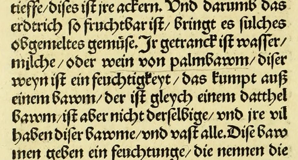 An illustration from Newe vnbekanthe Landte und ein newe Weldte in kurtz verganger Zeythe erfunden, 1508, leaf 30