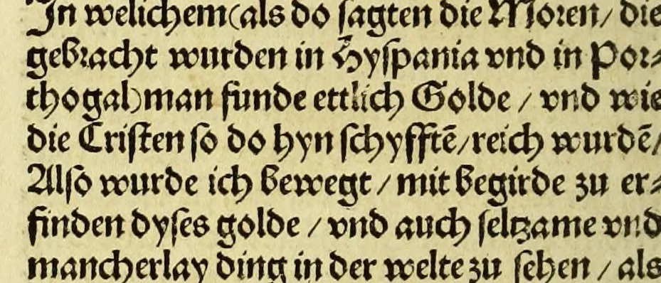 An illustration from Newe vnbekanthe Landte und ein newe Weldte in kurtz verganger Zeythe erfunden, 1508, leaf 34