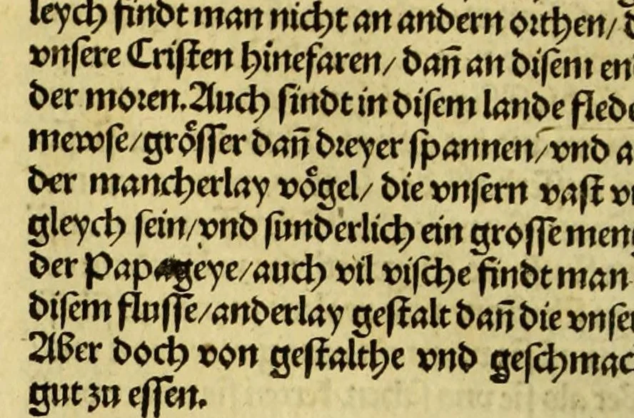 An illustration from Newe vnbekanthe Landte und ein newe Weldte in kurtz verganger Zeythe erfunden, 1508, leaf 46