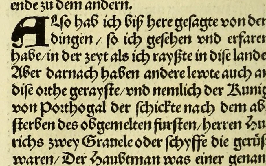 An illustration from Newe vnbekanthe Landte und ein newe Weldte in kurtz verganger Zeythe erfunden, 1508, leaf 48