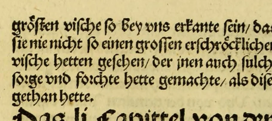 An illustration from Newe vnbekanthe Landte und ein newe Weldte in kurtz verganger Zeythe erfunden, 1508, leaf 52