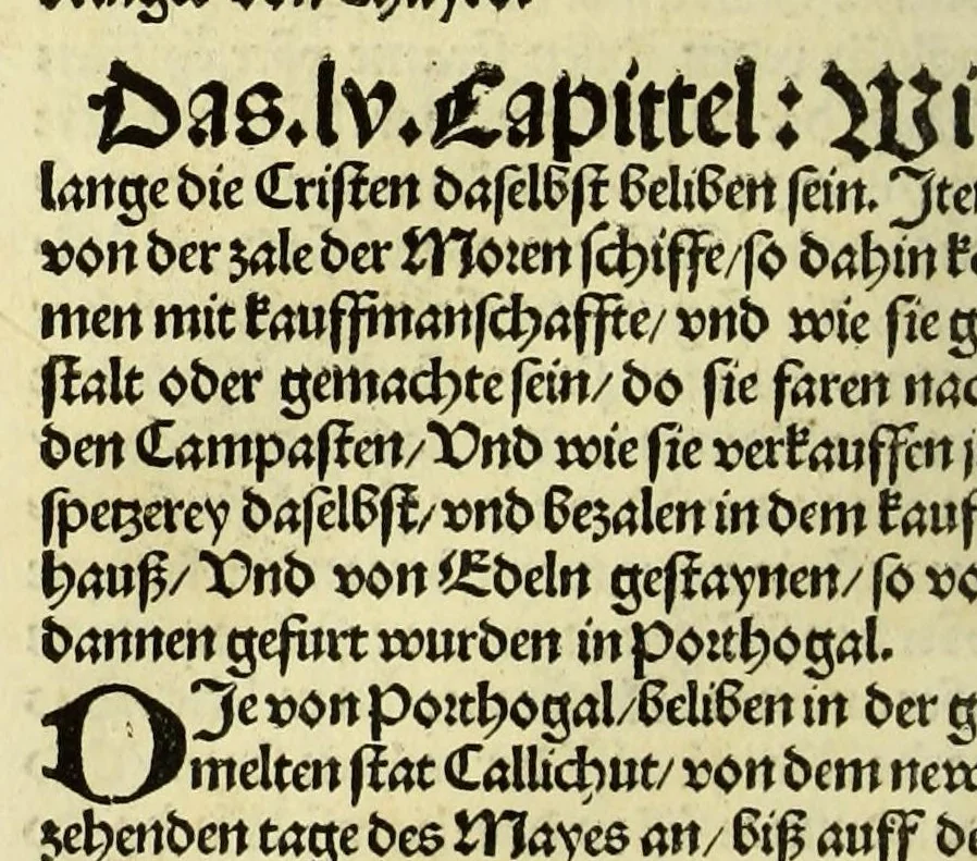 An illustration from Newe vnbekanthe Landte und ein newe Weldte in kurtz verganger Zeythe erfunden, 1508, leaf 54