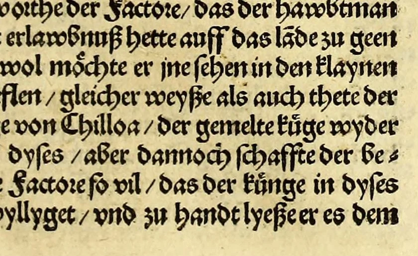 An illustration from Newe vnbekanthe Landte und ein newe Weldte in kurtz verganger Zeythe erfunden, 1508, leaf 65