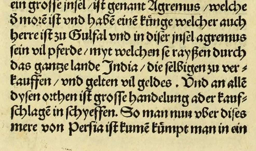 An illustration from Newe vnbekanthe Landte und ein newe Weldte in kurtz verganger Zeythe erfunden, 1508, leaf 66