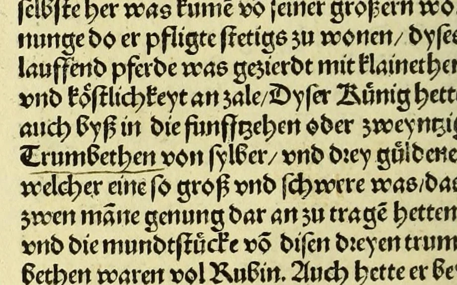 An illustration from Newe vnbekanthe Landte und ein newe Weldte in kurtz verganger Zeythe erfunden, 1508, leaf 68