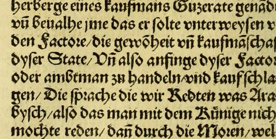 An illustration from Newe vnbekanthe Landte und ein newe Weldte in kurtz verganger Zeythe erfunden, 1508, leaf 70