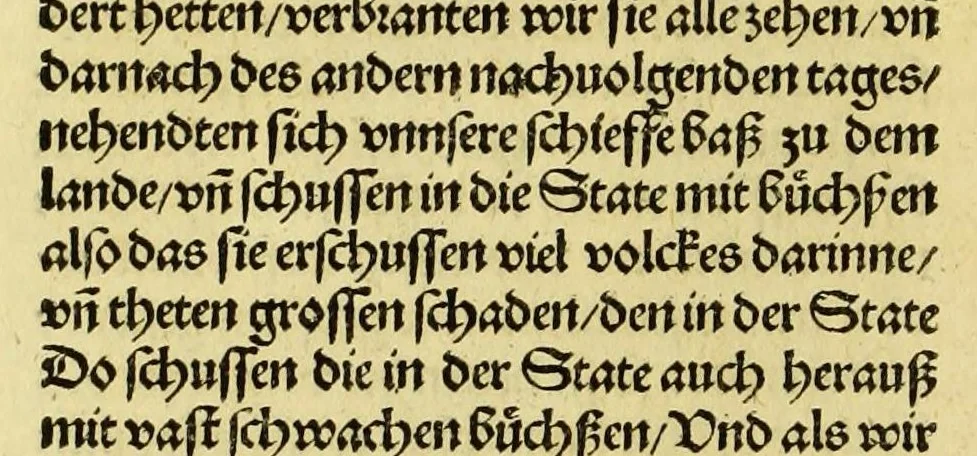 An illustration from Newe vnbekanthe Landte und ein newe Weldte in kurtz verganger Zeythe erfunden, 1508, leaf 76