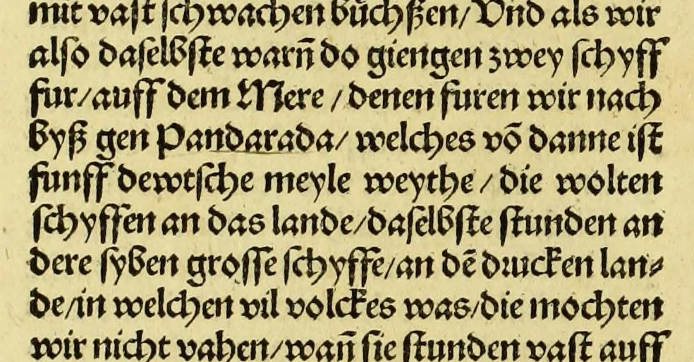 An illustration from Newe vnbekanthe Landte und ein newe Weldte in kurtz verganger Zeythe erfunden, 1508, leaf 76