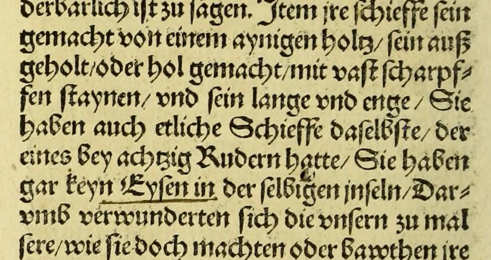 An illustration from Newe vnbekanthe Landte und ein newe Weldte in kurtz verganger Zeythe erfunden, 1508, leaf 82