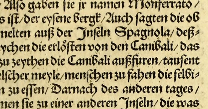 An illustration from Newe vnbekanthe Landte und ein newe Weldte in kurtz verganger Zeythe erfunden, 1508, leaf 87