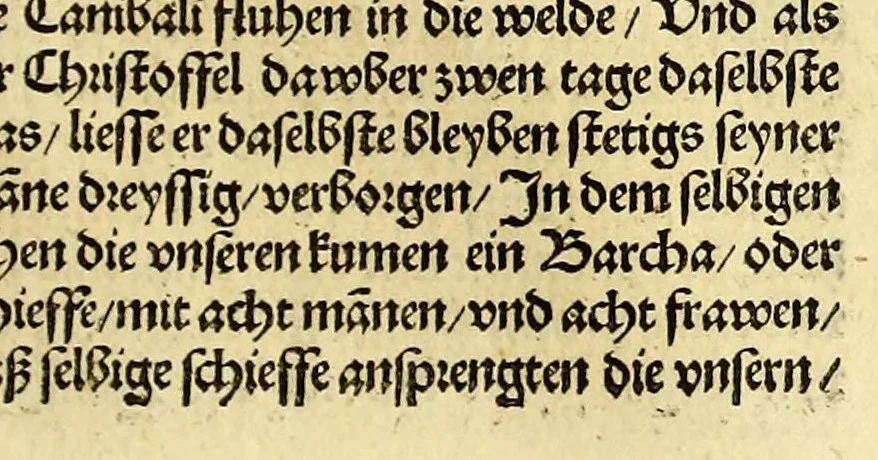 An illustration from Newe vnbekanthe Landte und ein newe Weldte in kurtz verganger Zeythe erfunden, 1508, leaf 87
